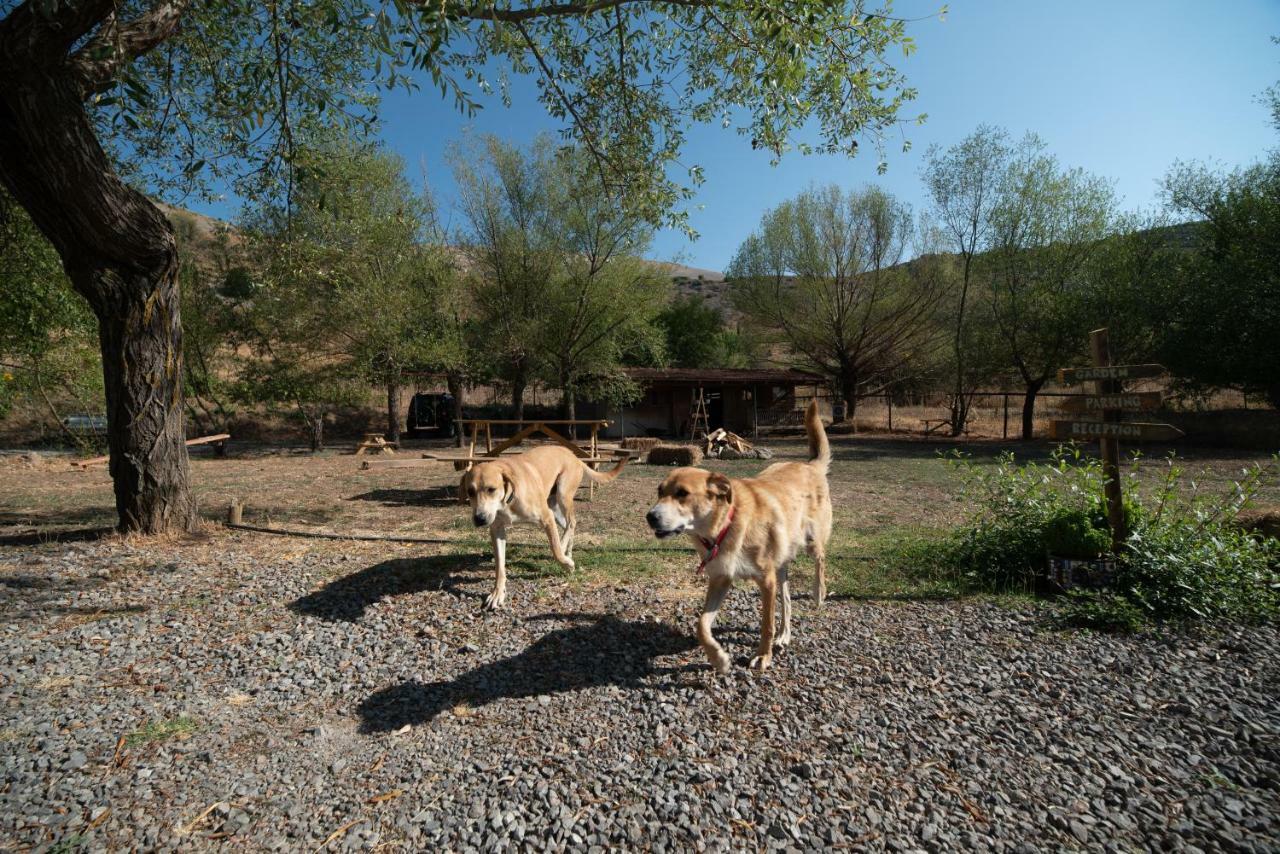 Orias Guesthouse&Farm Kalavryta Exterior foto